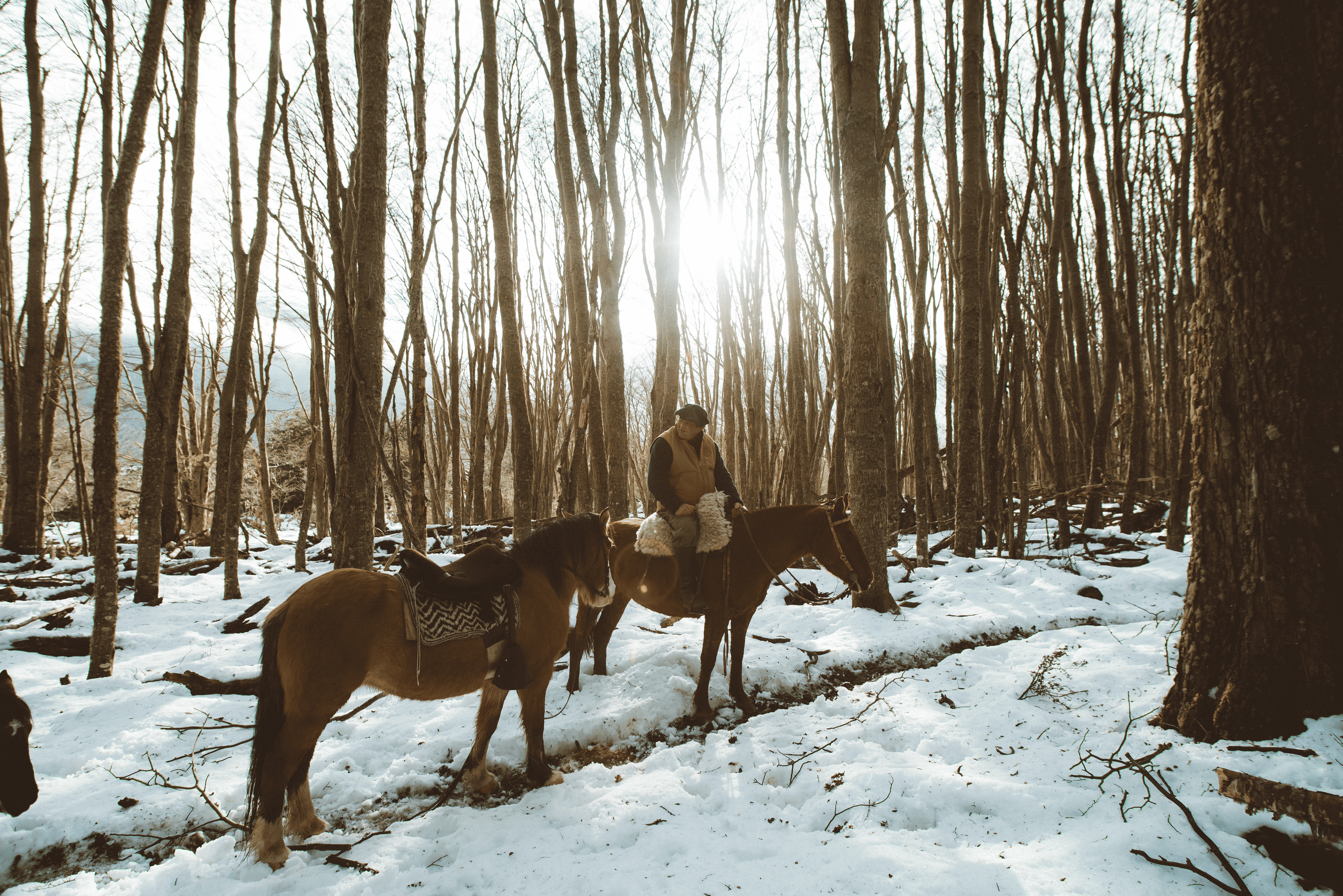 CABALGATA EN LAGO ESCONDIDO